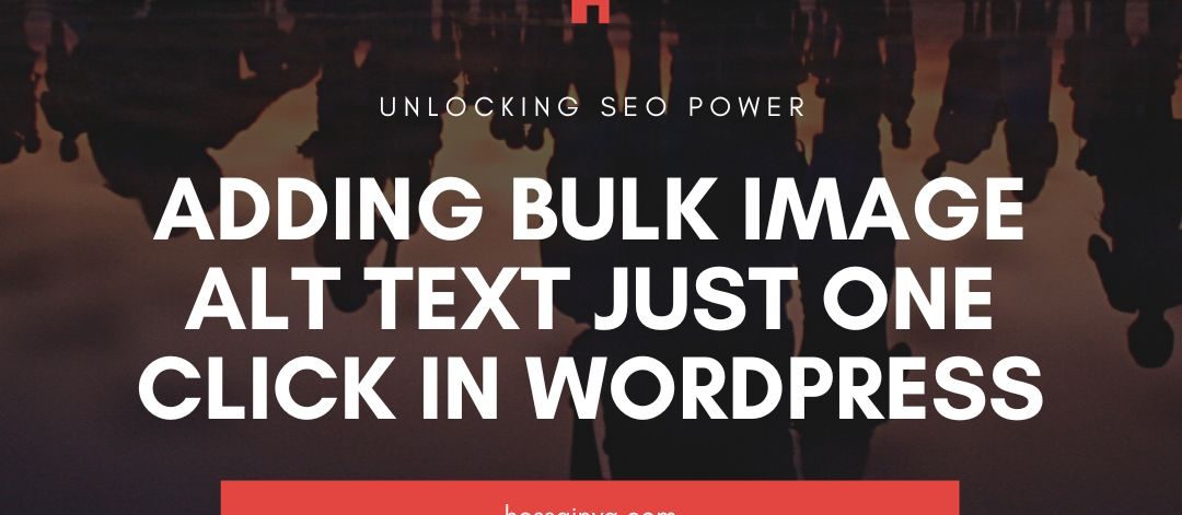 Adding Bulk Image Alt Text just One Click in WordPress